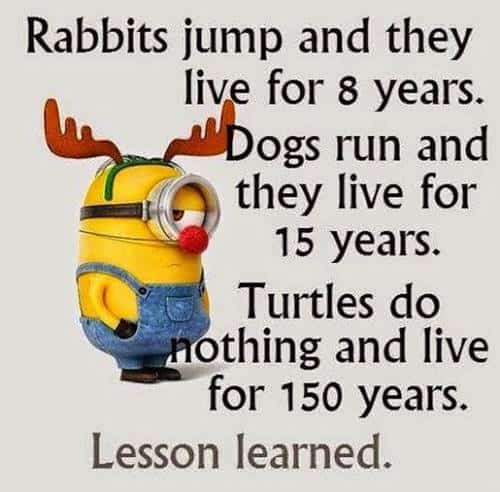 45 Funny Jokes Minions Quotes With Images Funny Text Messages 39