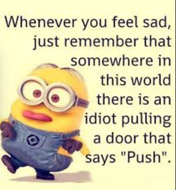 45 Fun Minion Quotes Of The Week funny words for good funny minions quotes