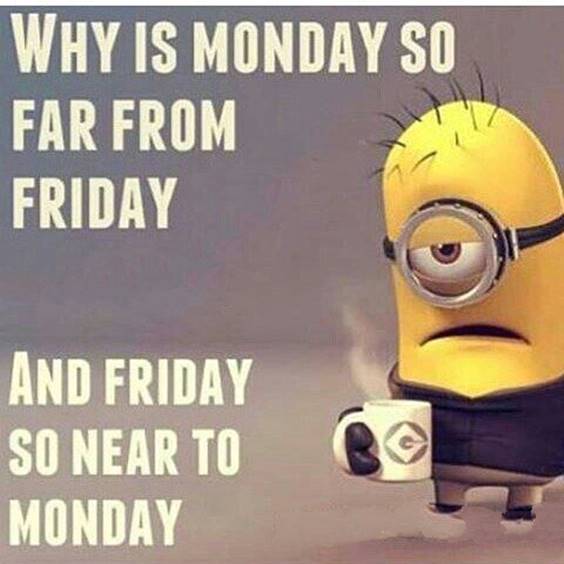 45 Fun Minion Quotes Of The Week crazy definitions of words minions funny quotes