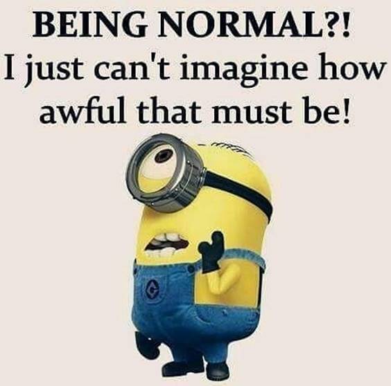 45 Fun Minion Quotes Of The Week minion funnies funny random text messages
