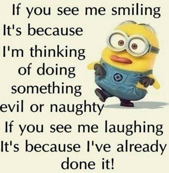45 Fun Minion Quotes Of The Week 27