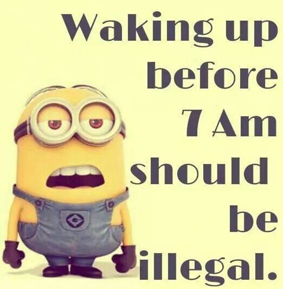 45 Fun Minion Quotes Of The Week 28