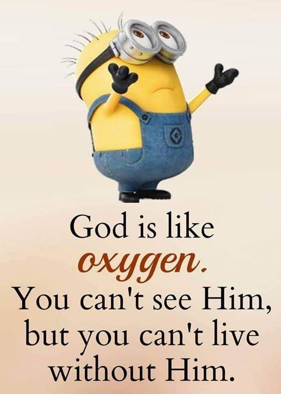 45 Fun Minion Quotes Of The Week 33