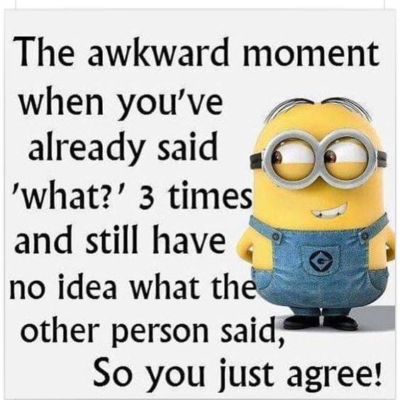45 Fun Minion Quotes Of The Week 4