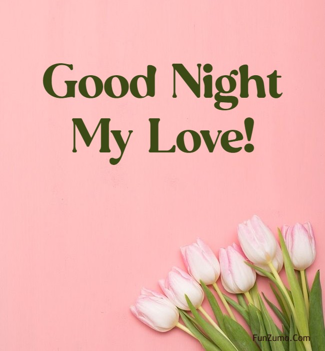 good night messages for love