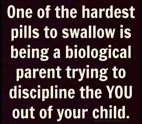 Top 55 Hilarious Funny Memes Of All Time - Absolutely Hilarious Memes “One of the hardest pills to swallow is being a biological parent trying to discipline the you out of your child.”
