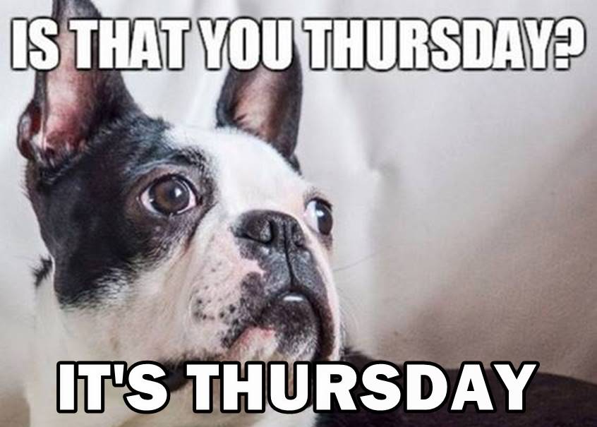 112 Funny Thursday Memes to Get You Through Week – FunZumo