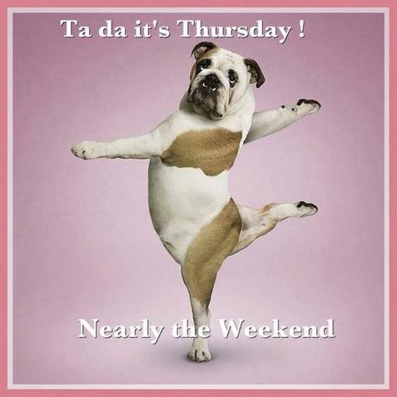 112 Funny Thursday Memes To Get You Through Week FunZumo 112 Funny Thursday Memes To Get You Through Week FunZumo