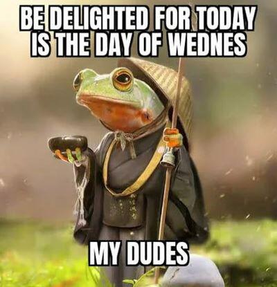 funny wednesday memes