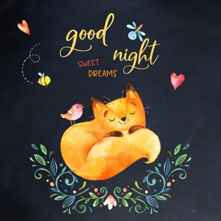 75 Funny Good Night Messages And Wishes FunZumo