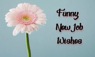 Funny New Job Wishes and Messages The Best Collection