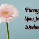 Funny New Job Wishes and Messages The Best Collection