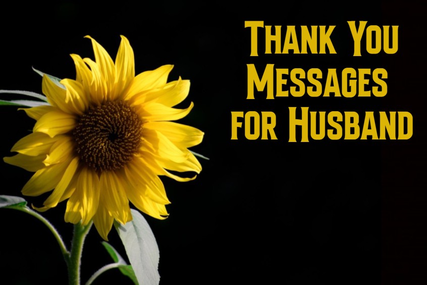 Read more about the article 147 Of The Thank You Messages For Husband – Sweet and Romantic