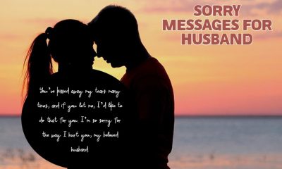 Heart Touching Sorry Messages for Husband Apology Quotes for Him
