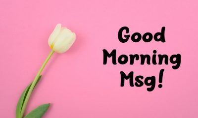 Good Morning Msg With Pictures And Positive Words