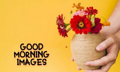 New Good Morning Images With wishes Pictures And Quotes Positive Energy