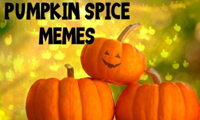 Pumpkin Spice Memes And Quotes
