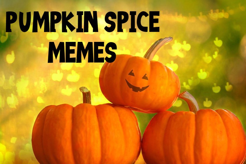 Pumpkin Spice Memes And Quotes