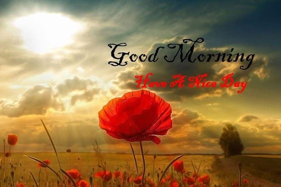 beautiful good morning Special Good Morning Images wishes with Pictures And beautiful Quotes