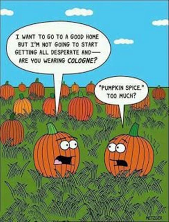 funny pumpkin spice meme Pumpkin Spice Memes And Quotes