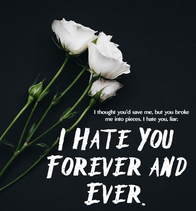 hate quotes for bf