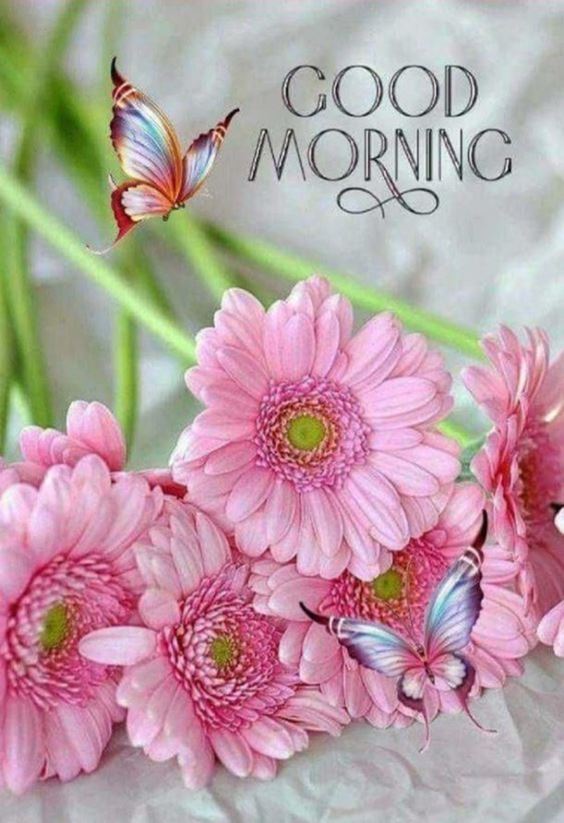 images of good morning Special Good Morning Images wishes with Pictures And beautiful Quotes