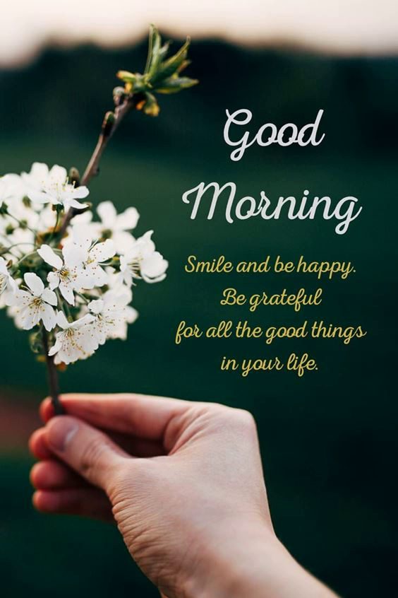 morning pictures Special Good Morning Images wishes with Pictures And beautiful Quotes