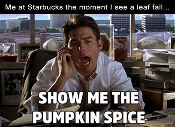pumpkin meme Pumpkin Spice Memes And Quotes