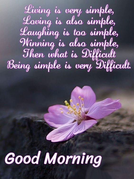 special good morning messages Good Morning Msg With Pictures And Positive Words