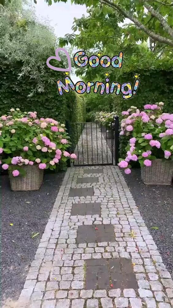 Beautiful Morning Pictures And Wishes With Good Morning Images Ideas picture of good morning wishes