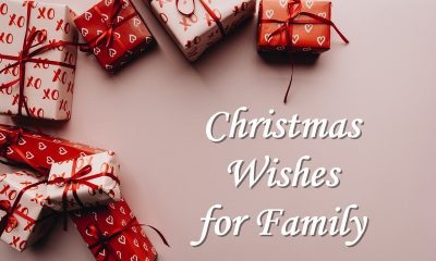 Heartfelt Christmas Wishes For Family What To Write In Blessed Christm