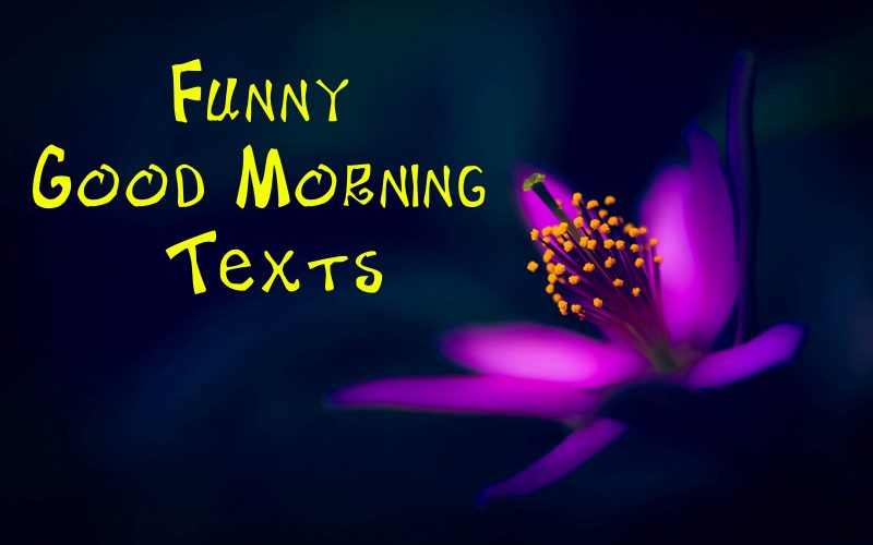 75 Funny Good Morning Texts – Hilarious Funny Quotes With Images – FunZumo