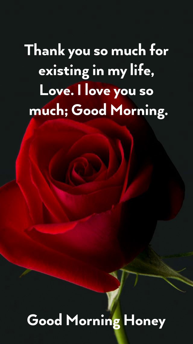 good morning message for her have a great day my love | good morning text messages, romantic good morning sms, thank you for making my day brighter
