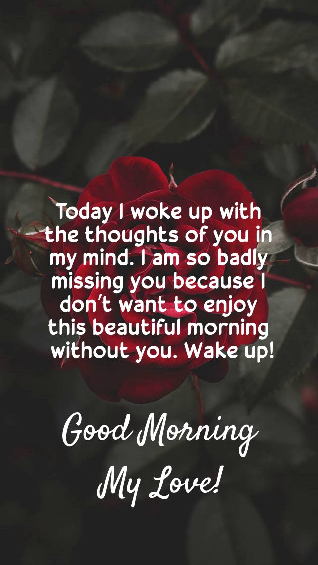 sweet morning messages good morning to my love | good morning my beautiful queen quotes, good morning dear love, good morning my sweet love images