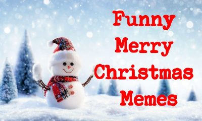 Funny Merry Christmas Memes And Funny Images