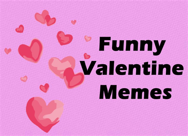 75 Funny Valentine Memes To Sarcastic For A Good Laugh Valentines Memes –  FunZumo