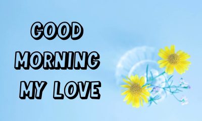 Good Morning My Love Quotes images Cute Love Messages