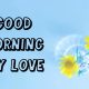 Good Morning My Love Quotes images Cute Love Messages