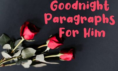 Goodnight Paragraphs For Him Short Sweet Texts With Love Messages