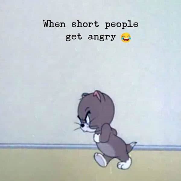 angry short people memes