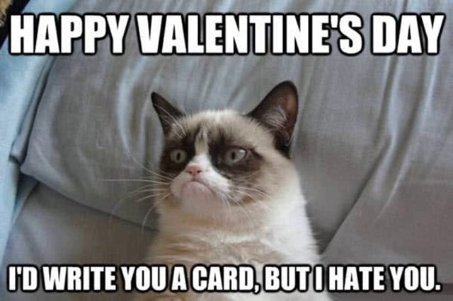 funny valentines day memes for him Funny Valentine Memes To sarcastic for a Good Laugh valentines memes