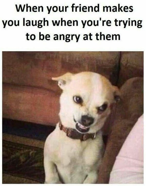50 Angry Memes That Can Help You Laugh – Best Funny Angry Face Pictures –  FunZumo