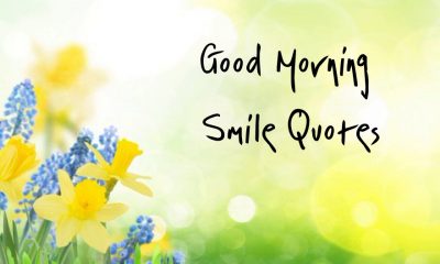 Beautiful Good Morning Smile Quotes