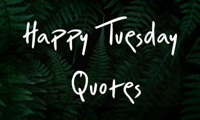 Happy Tuesday Quotes Good Morning Tuesday Messages