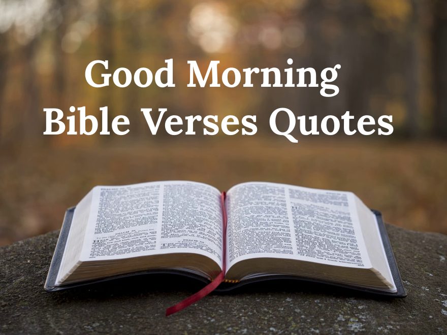 Read more about the article 144 Good Morning Bible Verses Quotes With Motivational Words