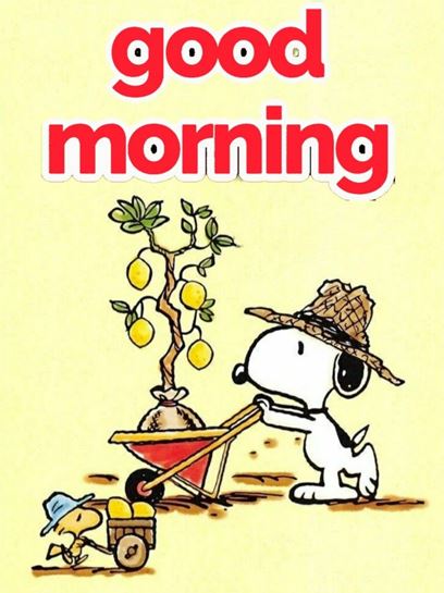 Cartoon Good Morning Wishes Images Pics Free Downloadmemes