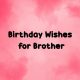Heart Touching Birthday Wishes for Brother Happy Birthday Brother