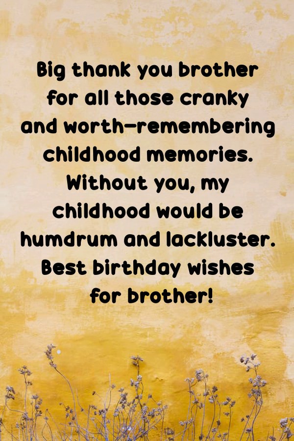 Meaningful Birthday Messages for Brother Happy Birthday Images