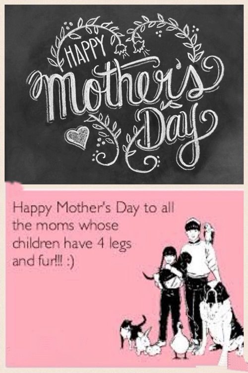 free mothers day memes and single mom mothers day meme