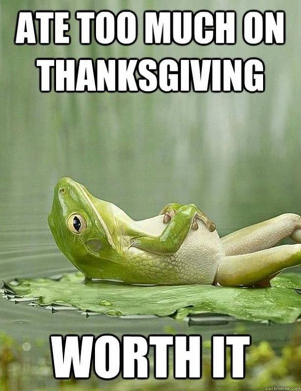 free thanksgiving memes and thanksgiving memes clean and hilarious happy thanksgiving memes